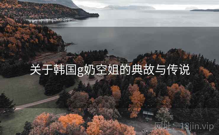 关于韩国g奶空姐的典故与传说