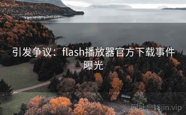 引发争议:flash播放器官方下载事件曝光 引发争议:flash播放器官方下载事件曝光