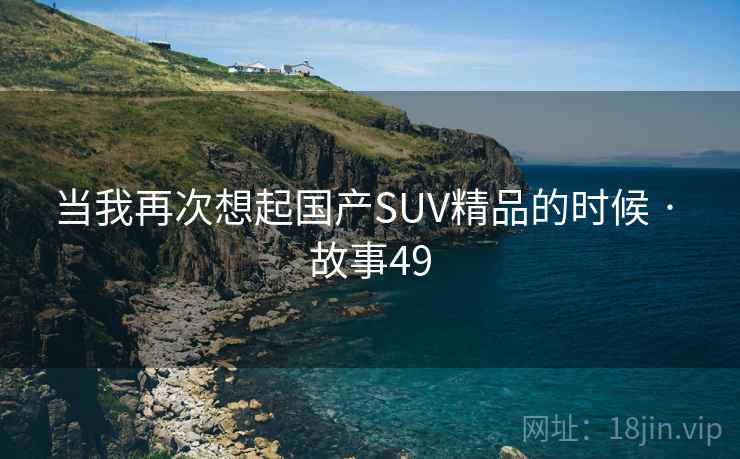 当我再次想起国产SUV精品的时候 · 故事49